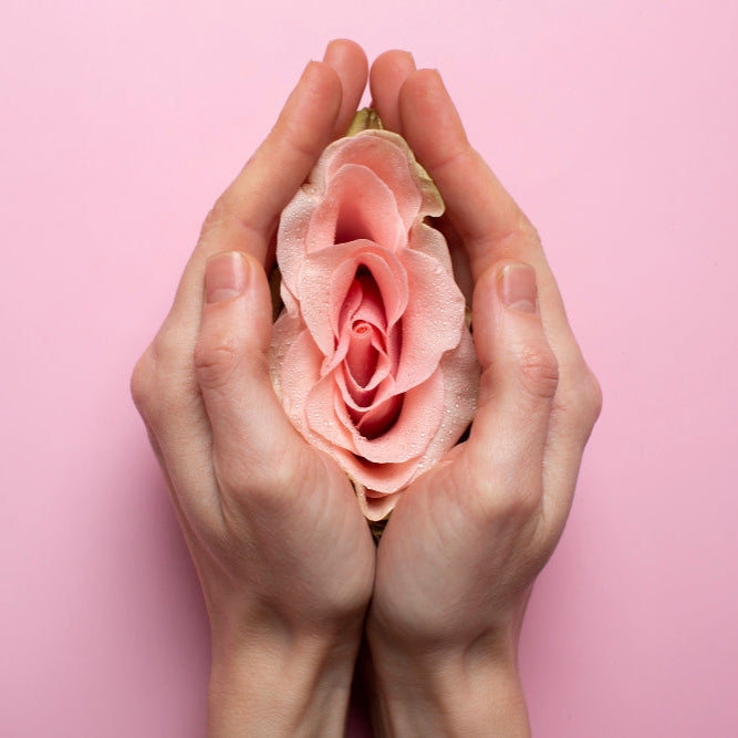 ❤🔥CÍRCULO DE MUJERES: SANACIÓN DE ÚTERO❤🔥